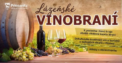 Lzesk vinobran - 5 ronk - www.webtrziste.cz